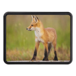 Cubierta Para Remolque Red Fox Kit