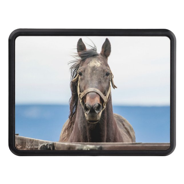 Cubierta Para Remolque Retrato de un caballo (Anverso)