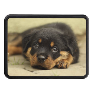 Cubierta Para Remolque Rottweiler20150901