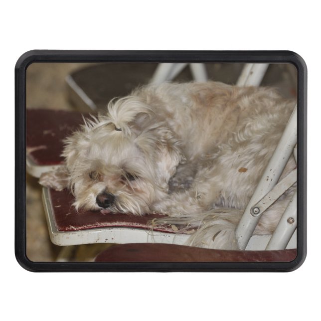 Cubierta Para Remolque Rumor (Anverso)