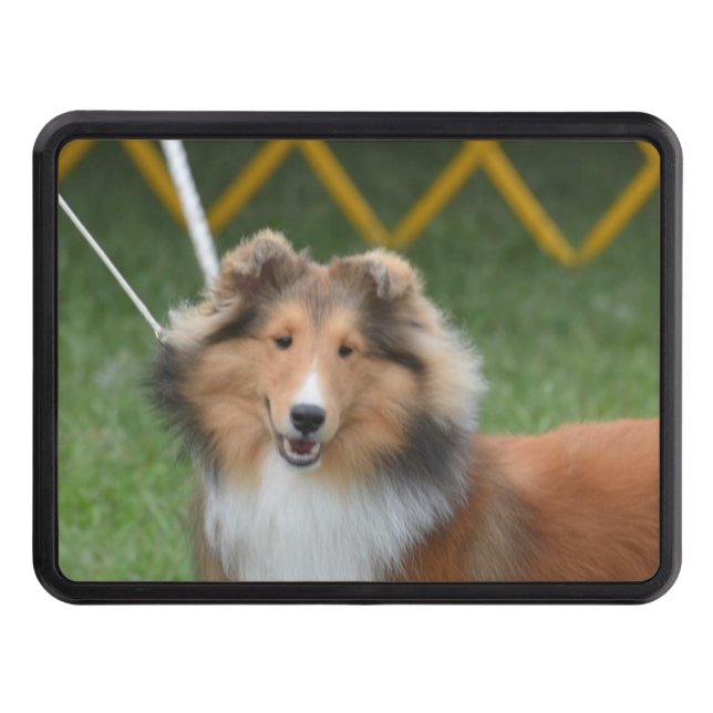Cubierta Para Remolque Sheltie lindo (Anverso)
