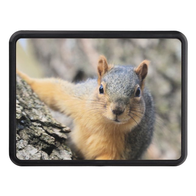 Cubierta Para Remolque Sr. Cutie (Anverso)