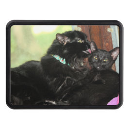 Cubierta Para Remolque Tiempo de baño