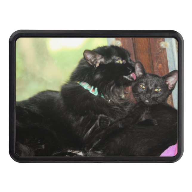 Cubierta Para Remolque Tiempo de baño (Anverso)