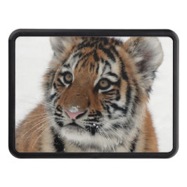 Cubierta Para Remolque Tiger_2015_0114