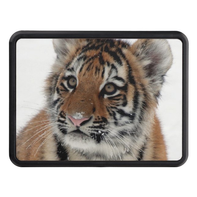 Cubierta Para Remolque Tiger_2015_0114 (Anverso)