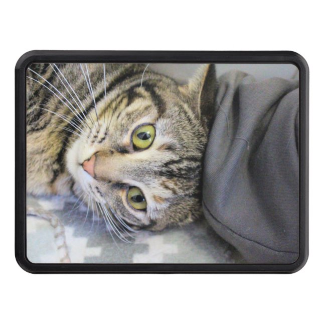 Cubierta Para Remolque Tigre (Anverso)