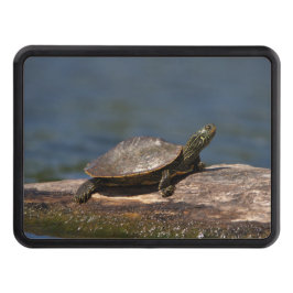 Cubierta Para Remolque Tortuga pintada en un tronco