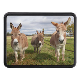 Cubierta Para Remolque Tres burros