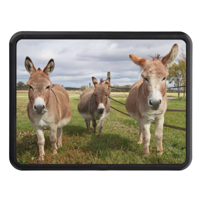 Cubierta Para Remolque Tres burros (Anverso)