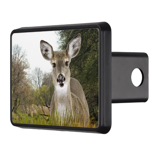 Cubierta Para Remolque Vendedor blanco / Cazador (Izquierda)