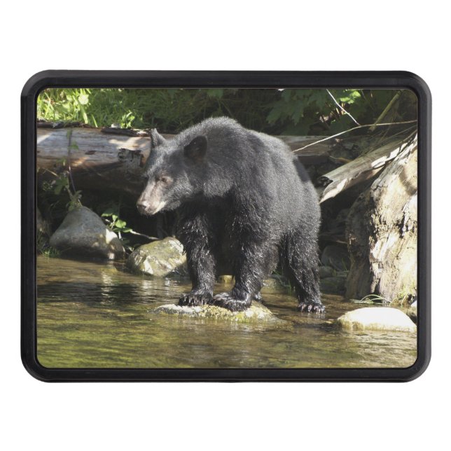 Cubierta Para Remolque Vida salvaje del oso negro "Salmon Spotting" (Anverso)