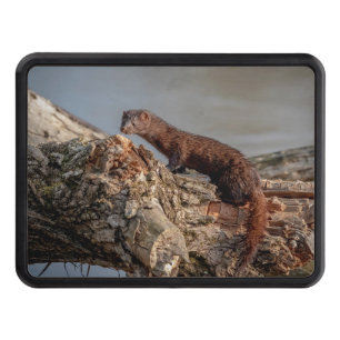 Cubierta Para Remolque Visión americano