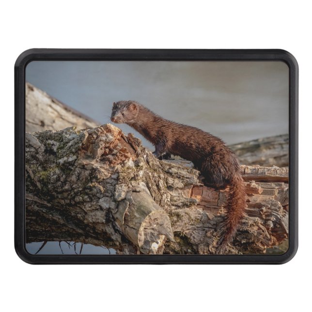 Cubierta Para Remolque Visión americano (Anverso)