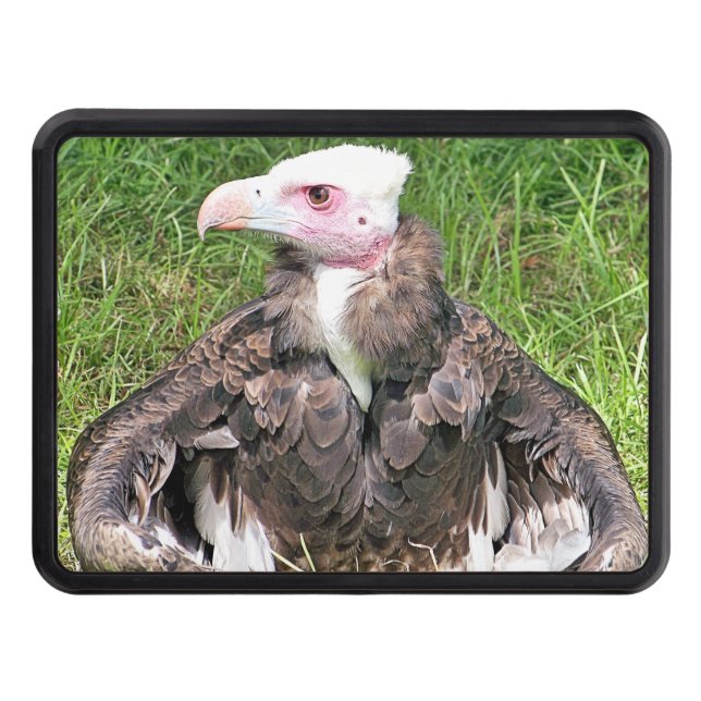 CUBIERTA PARA REMOLQUE VULTURA (Anverso)