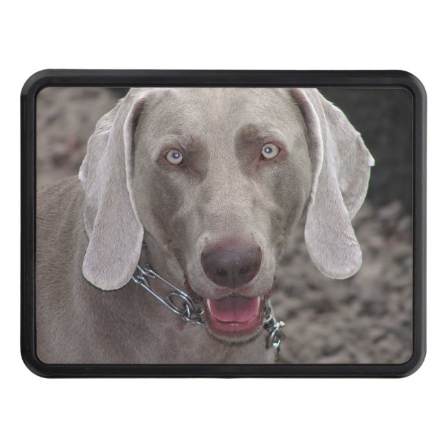 Cubierta Para Remolque Weimaraner (Anverso)