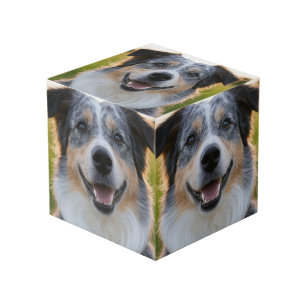 Cubo Agregar foto de mascota personalizar