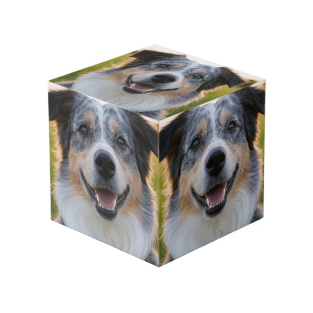 Cubo Agregar foto de mascota personalizar (Angulo Anverso)