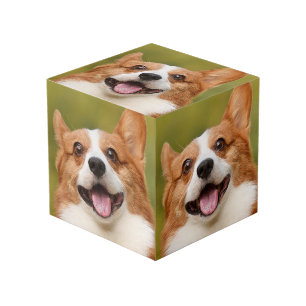 Cubo Añadir foto de perro personalizada