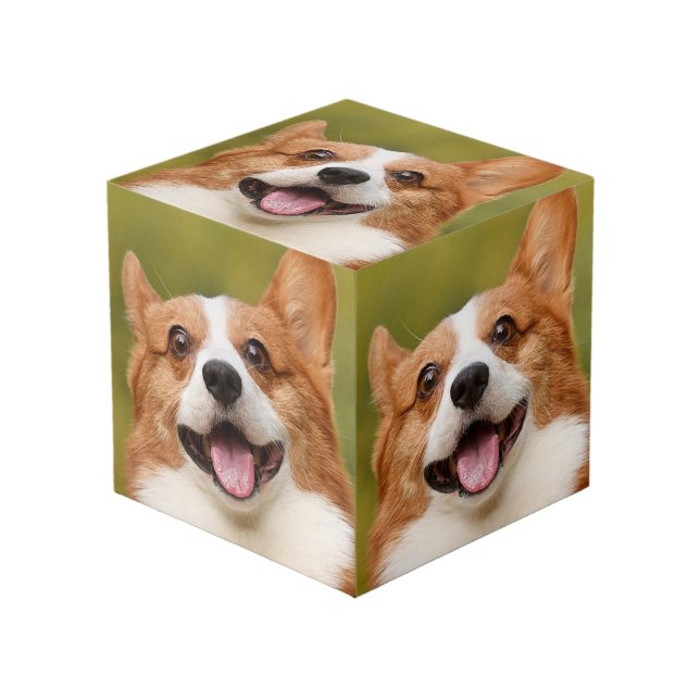 Cubo Añadir foto de perro personalizada (Angulo Anverso)