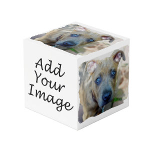 Cubo Brindle Pit Bull cachorro de Shirley Taylor