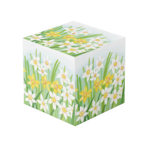 Cubo Dafóditos amarillos y blancos en primavera