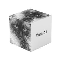 Cubo de boceto de lápiz de gato