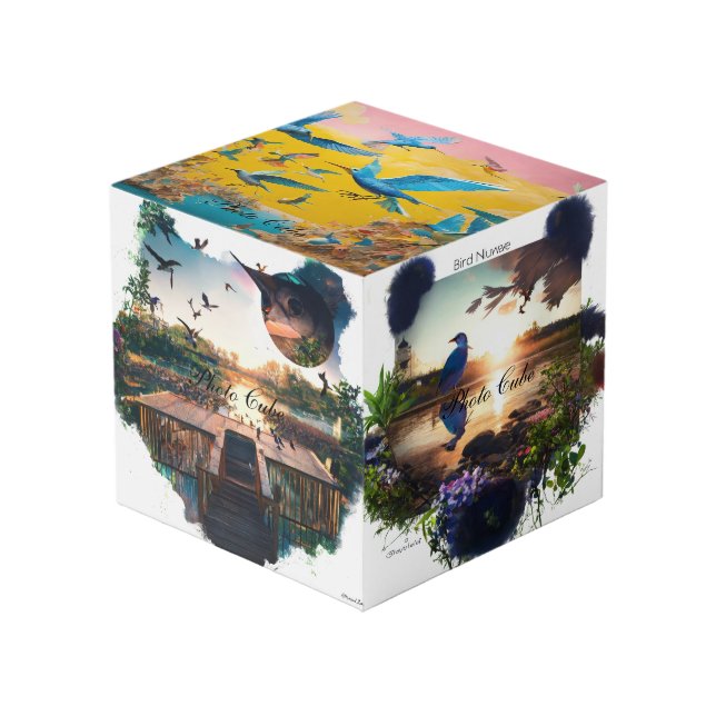 Cubo de foto (Angulo Anverso)