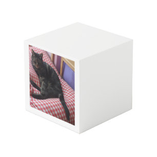 Cubo de foto de Dave Square