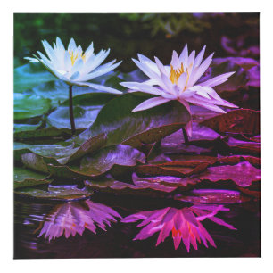 Cubo de foto inspirado en la naturaleza de 4"