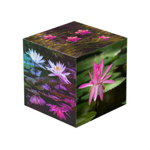 Cubo de foto inspirado en la naturaleza de 4"