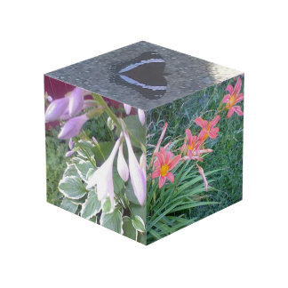 Cubo de fotos de la naturaleza