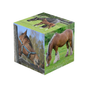 Cubo de fotos personalizado de Horse Lover