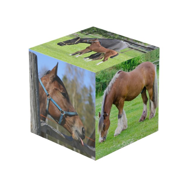 Cubo de fotos personalizado de Horse Lover (Angulo Anverso)