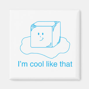 Cubo de hielo imán
