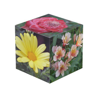 Cubo de la foto de la flor
