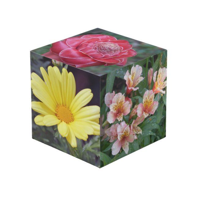 Cubo de la foto de la flor (Angulo Anverso)