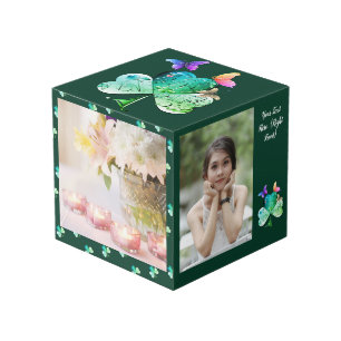 Cubo de la foto de la mariposa de Shamrock en el D