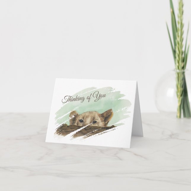 Cubo de leones buscando sobre una tarjeta de nota  (Anverso)