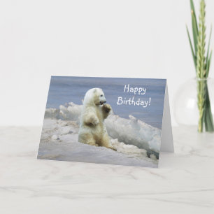 Cubo de oso polar y tarjeta de cumpleaños del hiel