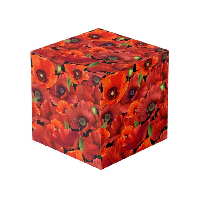 Cubo Disparo (Angulo Anverso)