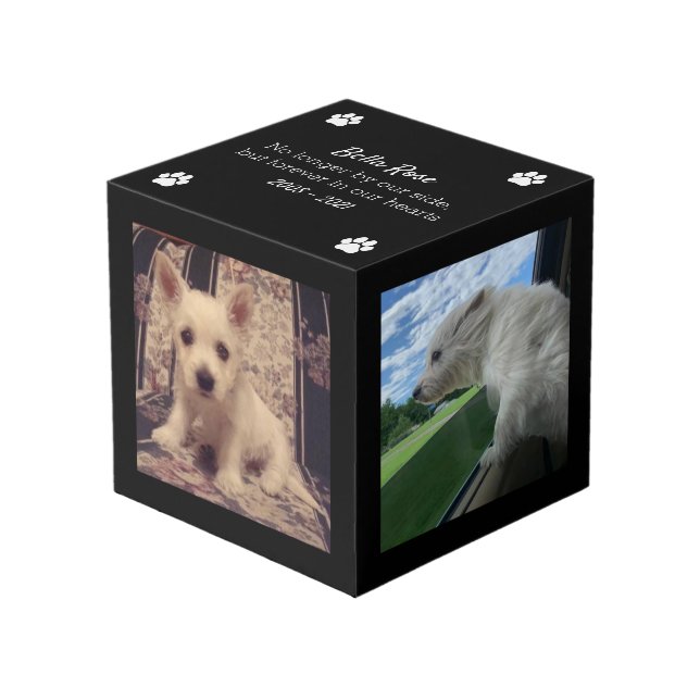 Cubo Foto de Keepsake en homenaje al perro (Angulo Anverso)