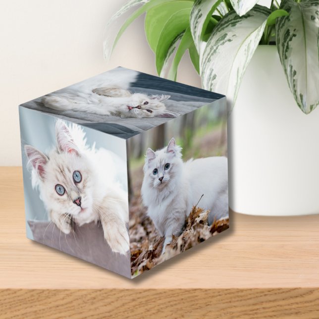 Cubo Foto del Mascota del gato personalizado del person (Custom Personalized Cat Keepsake Pet Photo cube)