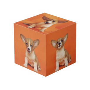 Cubo Foto personalizada con tu perro 5 imagen en