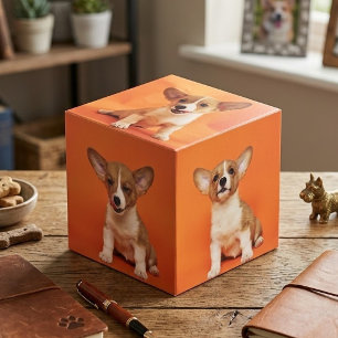 Cubo Foto personalizada con tu perro 5 imagen en