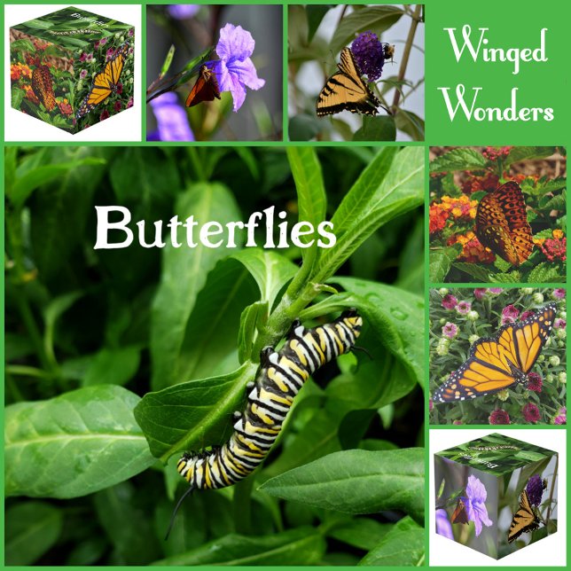 Cubo Fotografía decorativa de mariposas (Subido por el creador)
