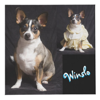 Cubo fotográfico de personalizable completo