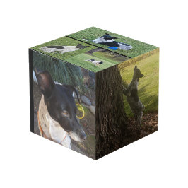 Cubo fotográfico personalizado