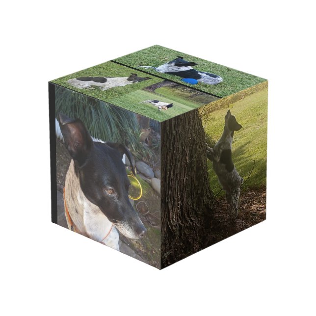 Cubo fotográfico personalizado (Angulo Anverso)