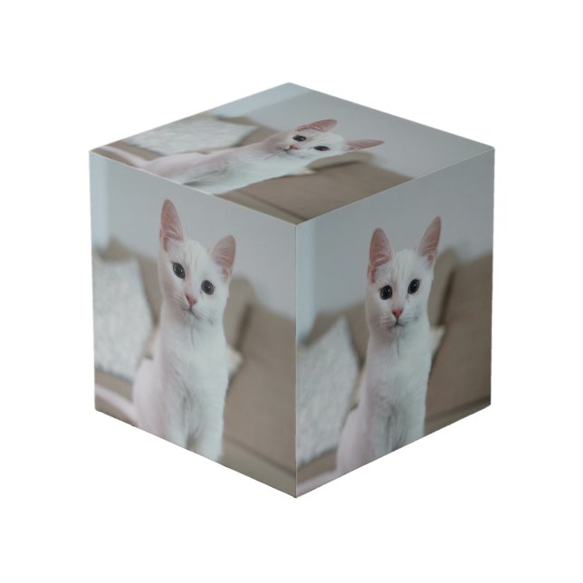Cubo Gato blanco | Zazzle_Growshop. (Angulo Anverso)